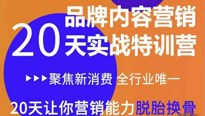 《内容营销实操特训营》20天让你营销能力脱胎换骨（价值3999）-微众资源