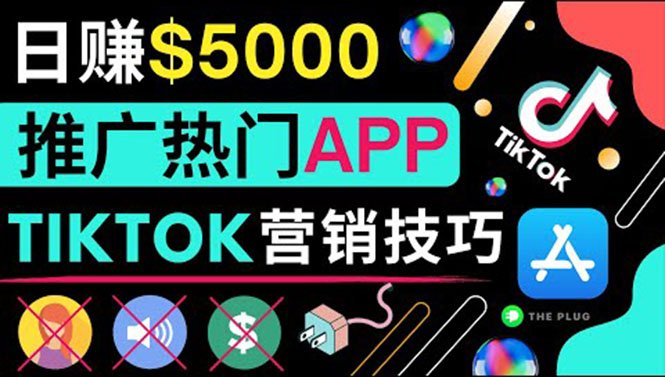 无需露脸，无需录音，无需投资，TIKTOK上传短视频，最高日入5000美元-微众资源
