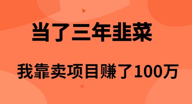 当了3年韭菜，我靠卖项目赚了100万-微众资源