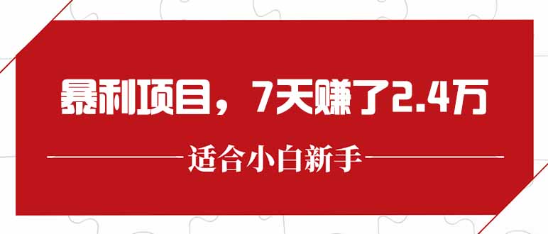 最新暴利项目，每单收益轻松在300以上，7天赚了2.4万-微众资源