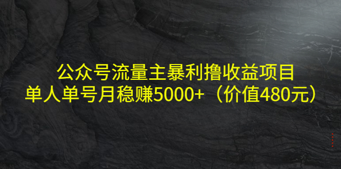 公众号流量主暴利撸收益项目，单人单号月稳赚5000+（价值480元）-微众资源