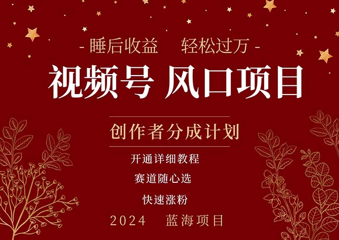拥有睡眠收益的微信视频号大风口项目，轻松月入过万+，多赛道选择，可…-微众资源