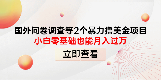 国外问卷调查等2个暴力撸美金项目，小白零基础也能月入过万-微众资源