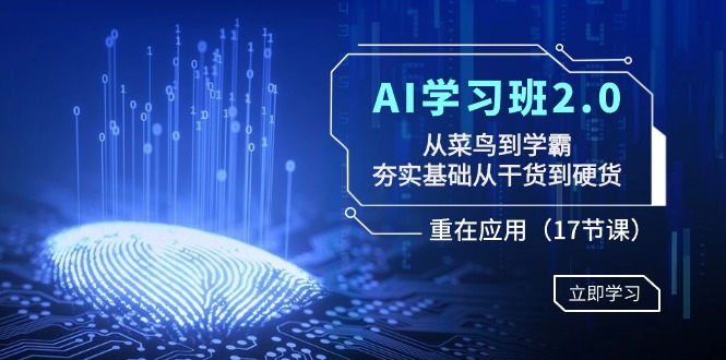AI学习班2.0：从菜鸟到学霸，夯实基础从干货到硬货，重在应用（17节课）-微众资源
