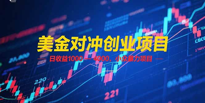 美金对冲创业项目，日收益 1000 – 4000，小众暴力项目-微众资源