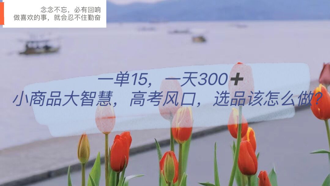 一单15，一天300+，小商品大智慧，高考风口，选品该怎么布局-微众资源