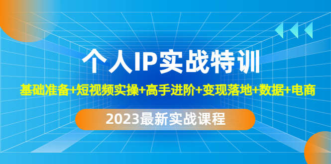 2023个人IP实战特训：基础准备+短视频实操+高手进阶+变现落地+数据+电商-微众资源