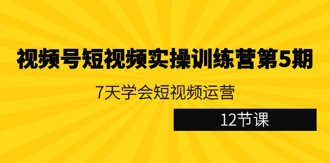 视频号短视频实操训练营第5期：7天学会短视频运营（12节课）-微众资源