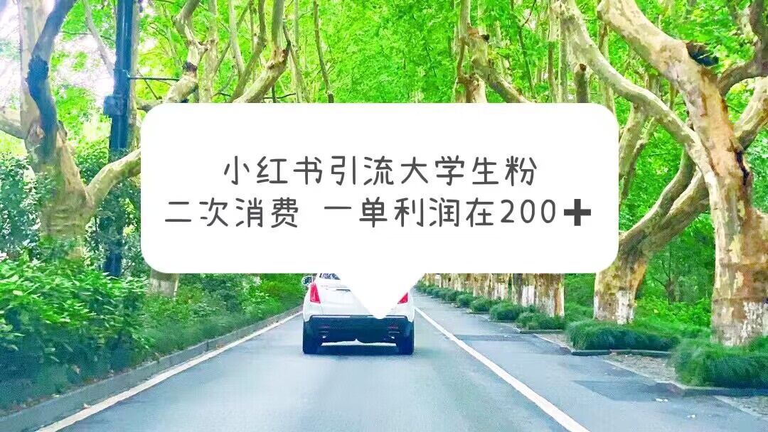 小红书引流大学生粉，变现项目，一单利润在200+（教程+资源）-微众资源