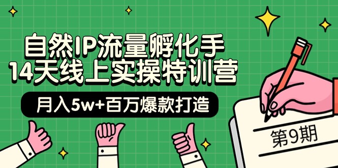 自然IP流量孵化手 14天线上实操特训营【第9期】月入5w+百万爆款打造 (74节)-微众资源