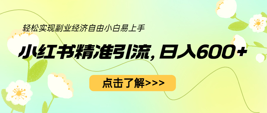 小红书精准引流，小白日入600+，轻松实现副业经济自由（教程+1153G资源）-微众资源