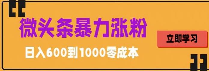 微头条暴力涨粉技巧搬运文案就能涨几万粉丝，简单0成本，日赚600-微众资源