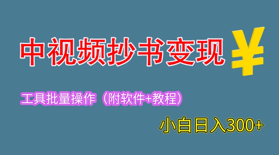 2023中视频抄书变现（附工具+教程），一天300+，特别适合新手操作的副业-微众资源