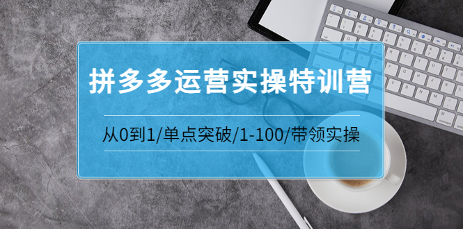 青云:拼多多运营实操特训营：从0到1/单点突破/1-100/带领实操-微众资源