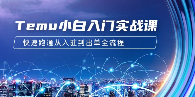 Temu小白入门实战课：跨境拼多多电商培训 快速跑通从入驻到出单全流程-12节-微众资源