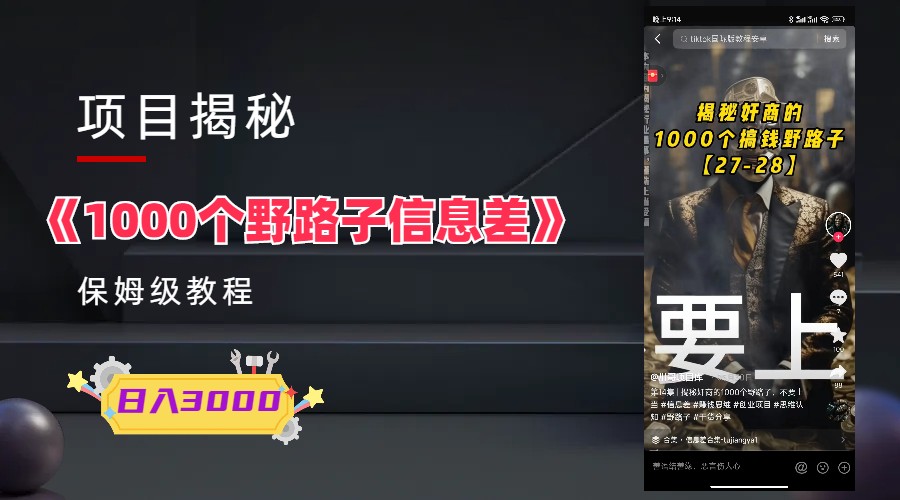 1000个野路子信息差保姆式教程-单日变现3000+的玩法解密-微众资源