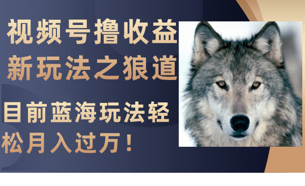 视频号撸收益新玩法之狼道，目前蓝海玩法轻松月入过万！-微众资源