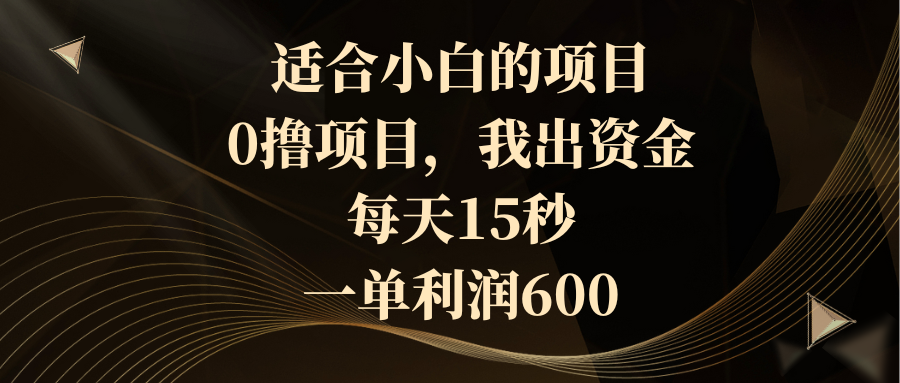 适合小白的项目，0撸项目，我出资金，每天15秒，一单利润600-微众资源