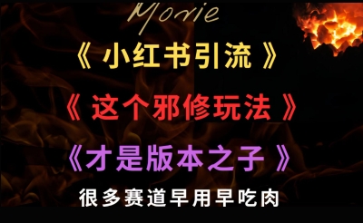 最近小红书引流这个邪修玩法才是版本之子，很多赛道早用早吃肉-微众资源