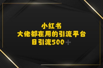 小红书，大佬都在用的大粉平台，日引流500+-微众资源