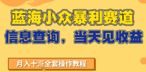 蓝海小众暴利赛道，信息查询，当天见收益，不讲玄学，7天搞了2W+-微众资源