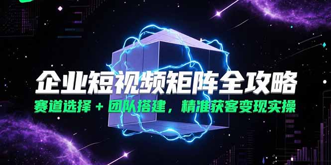 企业短视频矩阵全攻略，赛道选择+团队搭建，精准获客变现实操-微众资源