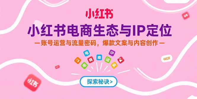 小红书电商生态与IP定位，账号运营与流量密码，爆款文案与内容创作-微众资源