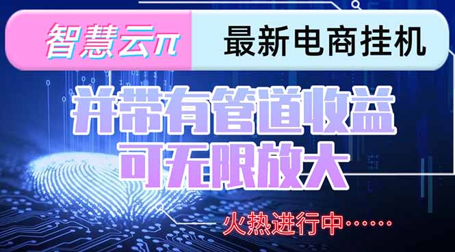 智慧云π电脑挂机单机每天收益300—500+ 并带有团队管道收益 可无限放大-微众资源