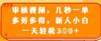 审核视频，几秒一单，多劳多得，新人小白一天轻松3张【揭秘】-微众资源