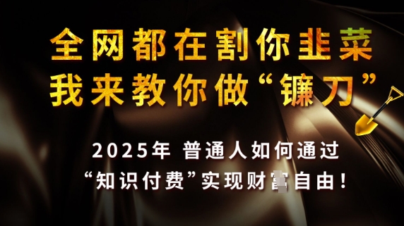 全网都在割你韭菜，我来教你做镰刀，2025普通人如何通过知识付费，实现财F自由【揭秘】-微众资源