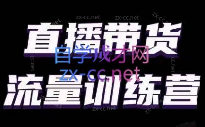 婉婉·直播带货课程系列合集(更新8月)-微众资源