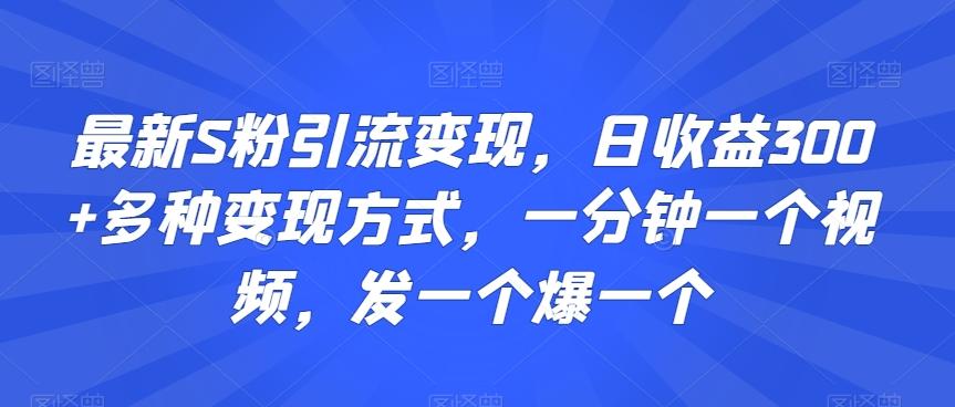 最新S粉引流变现，日收益300+多种变现方式，一分钟一个视频，发一个爆一个【揭秘】-微众资源