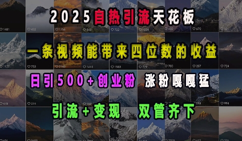 2025自热引流天花板，一条视频能带来四位数的收益，引流+变现双管齐下，日引500+创业粉，涨粉嘎嘎猛-微众资源