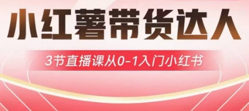 小红薯达人带货启航计划，3节直播课从0-1入门小红书-微众资源