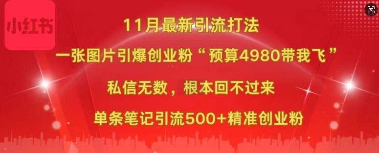 小红书11月最新图片打粉，一张图片引爆创业粉，“预算4980带我飞”，单条引流500+精准创业粉-微众资源