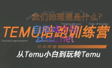 苗苗·拼多多跨境（temu）课程-微众资源