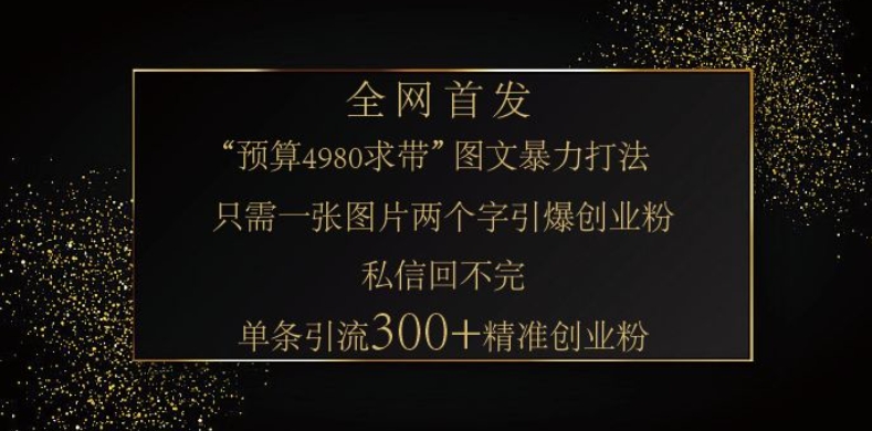 小红书神奇图片引流法，只需一张图，就能单条笔记凭借此方法，轻松引流 300 + 精准创业粉-微众资源