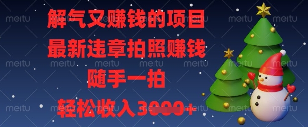 解气又挣钱的项目，最新违章拍照挣钱，随手一拍，轻松收入数张【揭秘】-微众资源