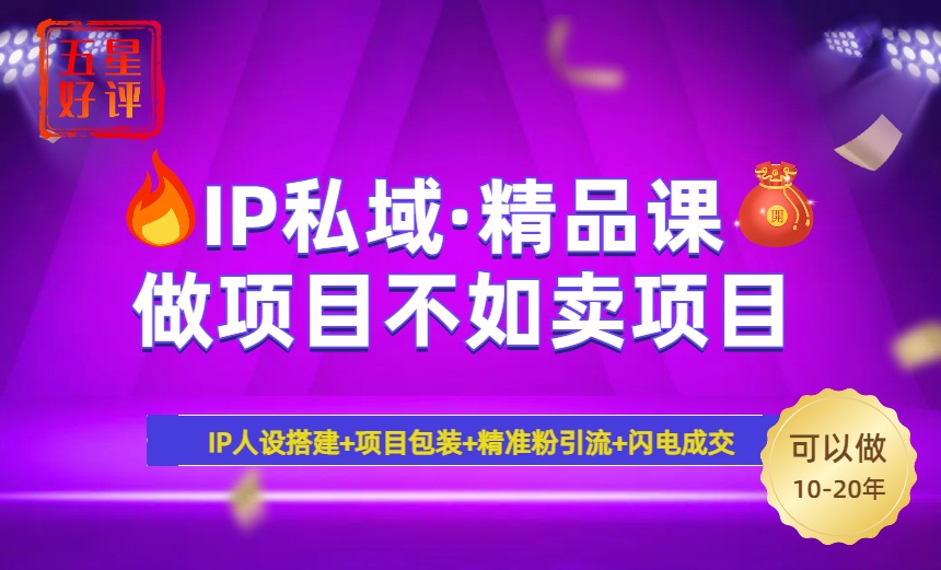 2025年“IP私域·密训精品课”，日赚3000+小白避坑年赚百万，暴力引流…-微众资源