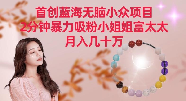 首创蓝海无脑小众项目，2分钟暴力吸粉小姐姐富太太，月入几十万【揭秘】-微众资源