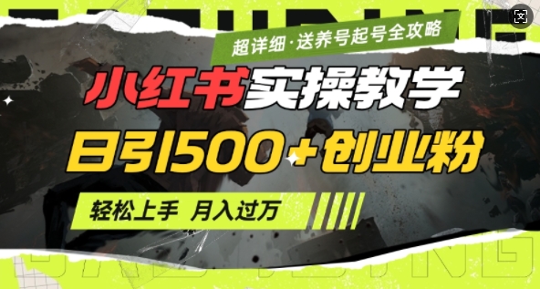 2月小红书最新日引500+创业粉实操教学【超详细】小白轻松上手，月入1W+，附小红书养号起号SOP-微众资源