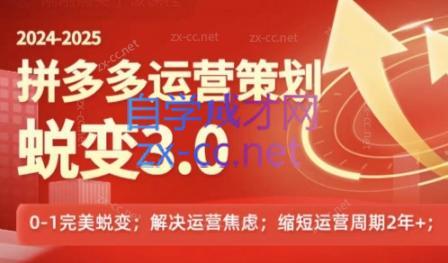 大力老师·2024拼多多运营策略蜕变3.0-微众资源