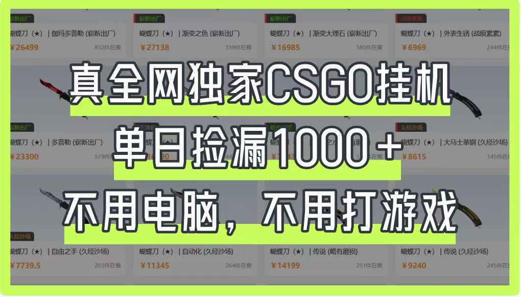 真全网独家CSGO挂机，单日捡漏1000+，不用电脑，不用养号-微众资源