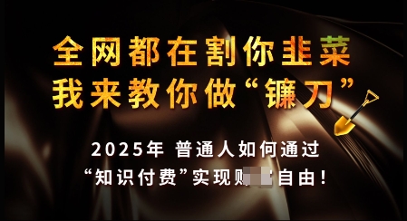 知识付费如何做到月入过W+，2025我来教你做“镰刀”【揭秘】-微众资源