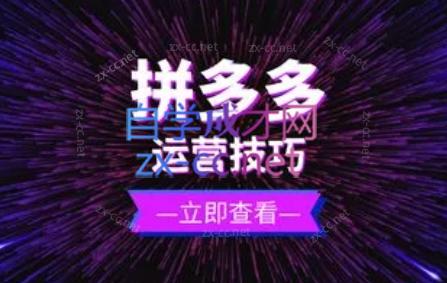 力辛电商·拼多多强付费店群玩法-微众资源