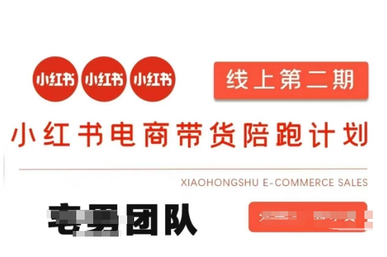 小红书电商带货课2期，月利润20个的小红书电商的有货源，无货源，虚拟产品，付费投流等整套玩法-微众资源
