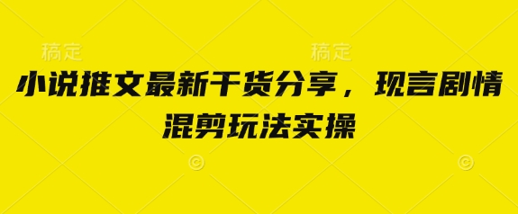 小说推文最新干货分享，现言剧情混剪玩法实操-微众资源