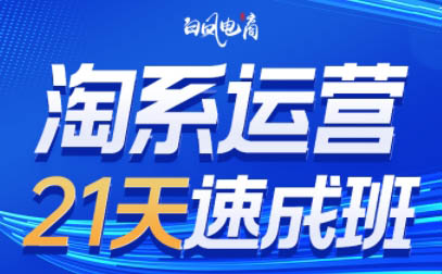 白凤电商·淘系运营21天速成班(更新3月)-微众资源