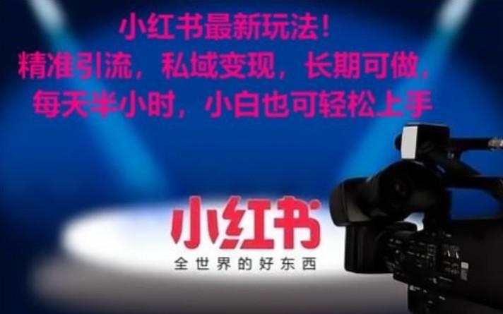 小红书最新玩法！精准引流，私域变现，长期可做，每天半小时，小白也可轻松上手-微众资源