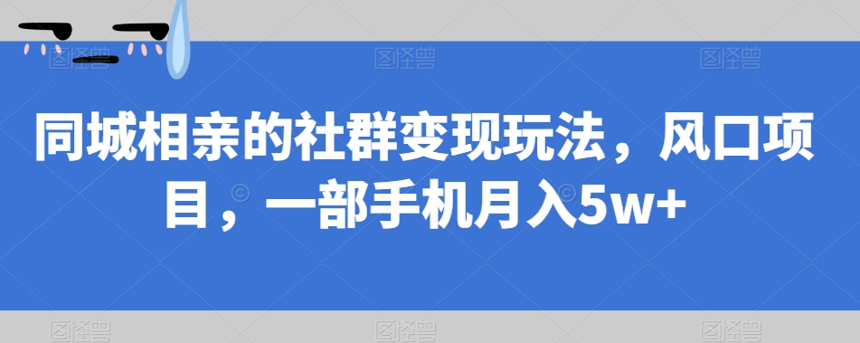 同城相亲的社群变现玩法，风口项目，一部手机月入5w+【揭秘】-微众资源